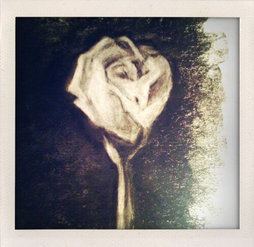 Charcoal Roses